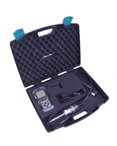 Газоанализатор Seitron CHEMIST 101 в Новом Уренгое Технологические извещатели Pintop.ru